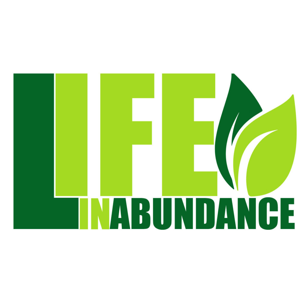 Logo Life in Abundance copie